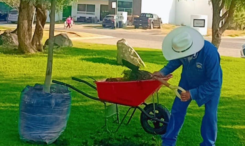 Jardinería Especializada